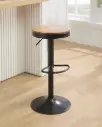LENNY BARSTOOL